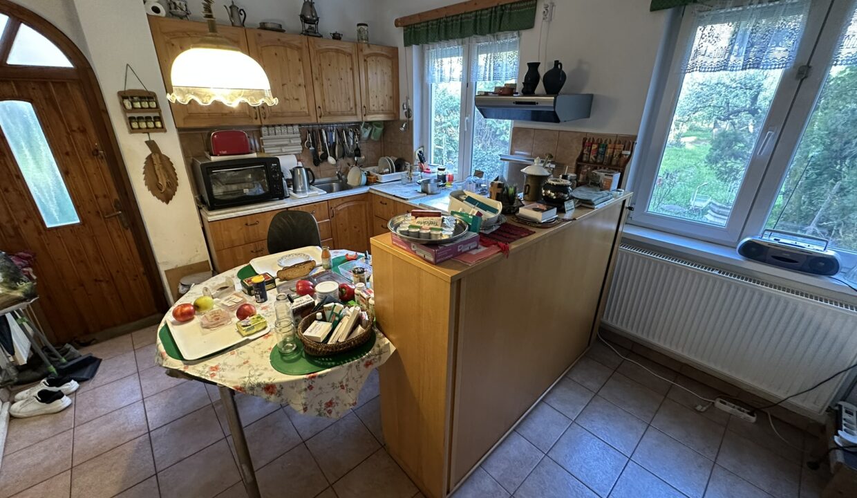 IMG_4405